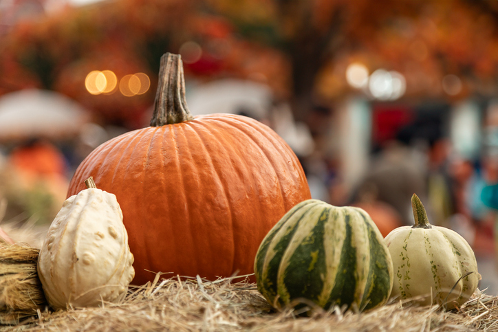 Pumpkins and gourds on hay bale, rustic autumn harvest decoration iStock